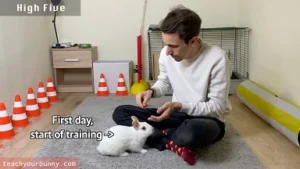 bunny_tricks14