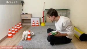 bunny_tricks15