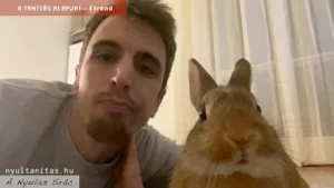 bunny_tricks18