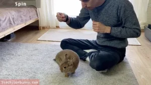 bunny_tricks5